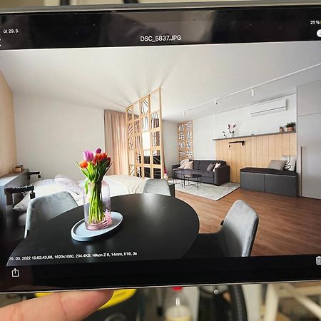 Apartmany U Lesa Dolní Morava Oda fotoğraf