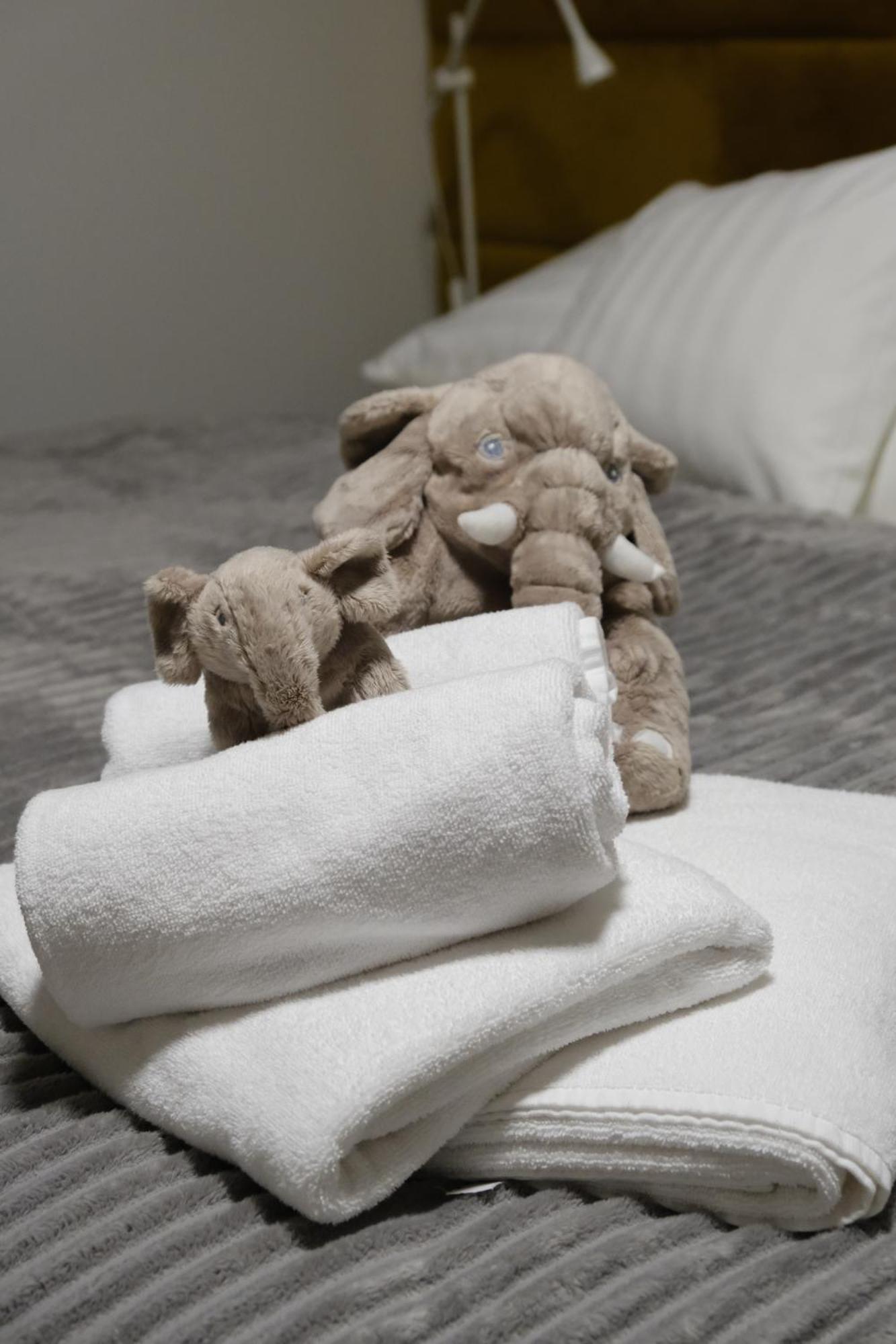 Apartmany U Lesa Dolní Morava Oda fotoğraf