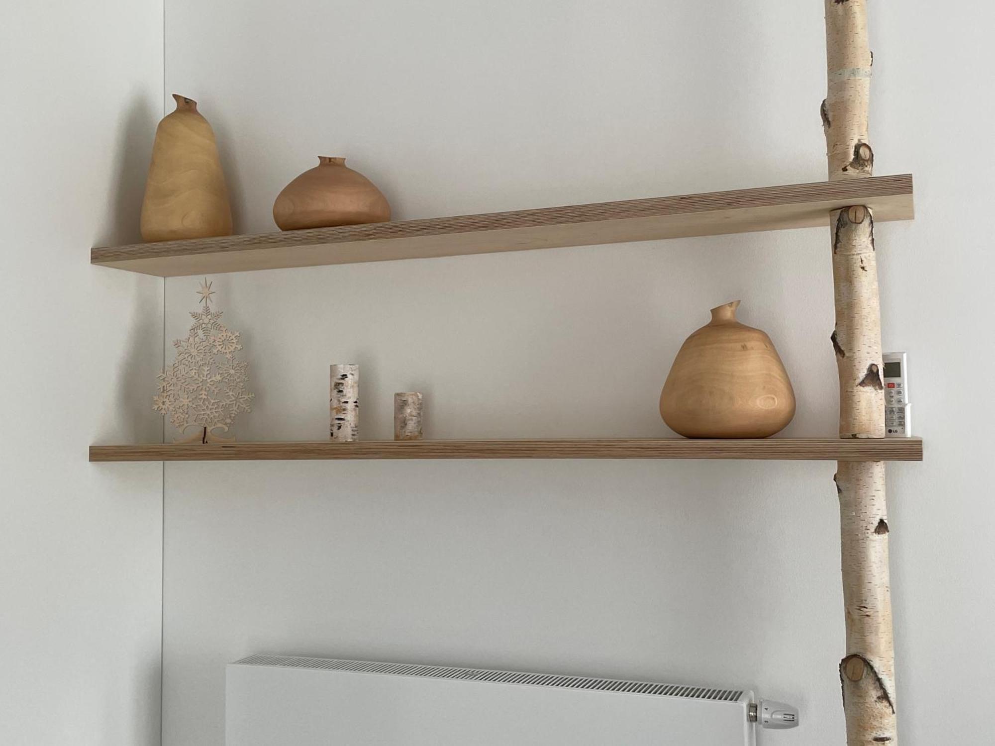Apartmany U Lesa Dolní Morava Oda fotoğraf