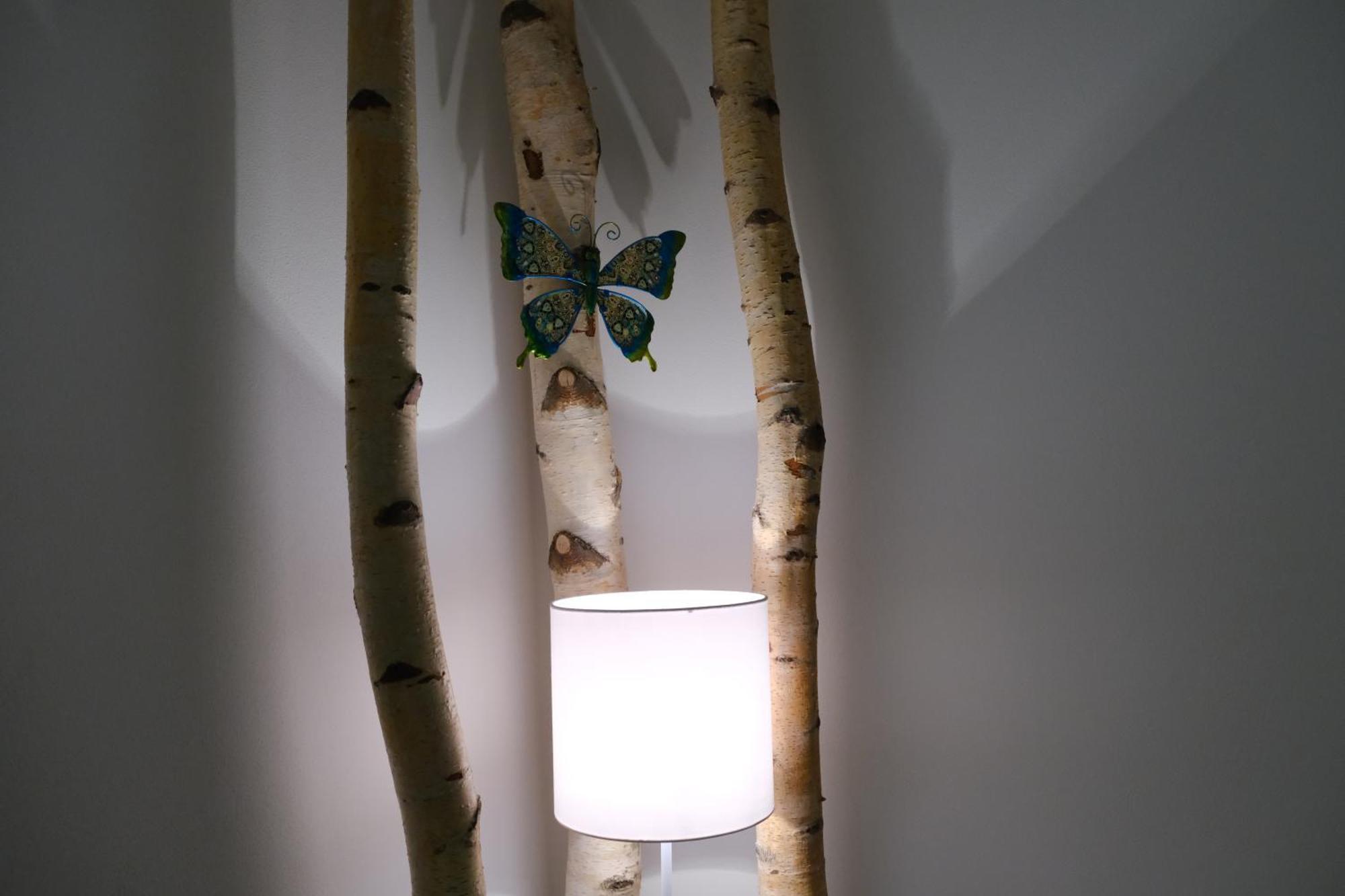 Apartmany U Lesa Dolní Morava Oda fotoğraf